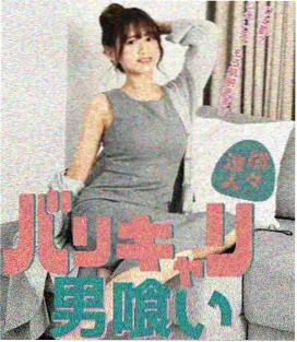 电视剧候鸟计划在线观看